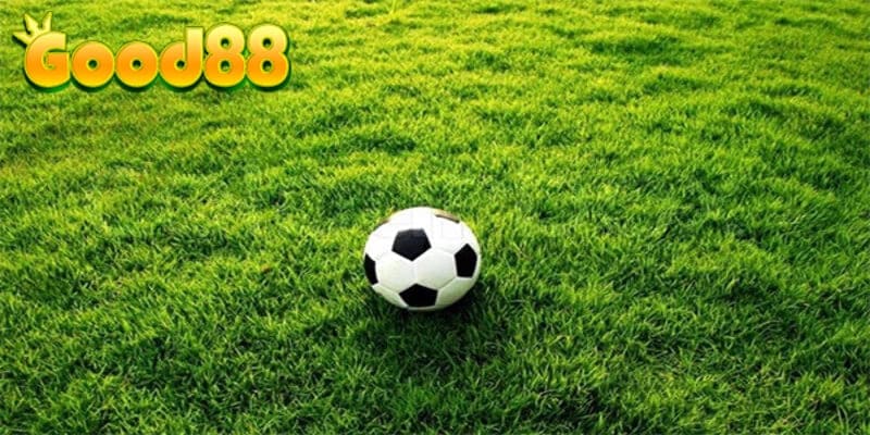 Những lợi ích khi đặt cược bóng đá trên sân cỏ là gì?