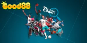 Thể thao ảo là gì?