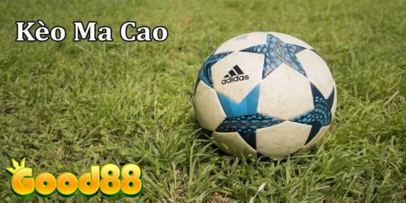 Lợi ích và ưu thế khi áp dụng tỷ lệ kèo Ma cao trong cá độ